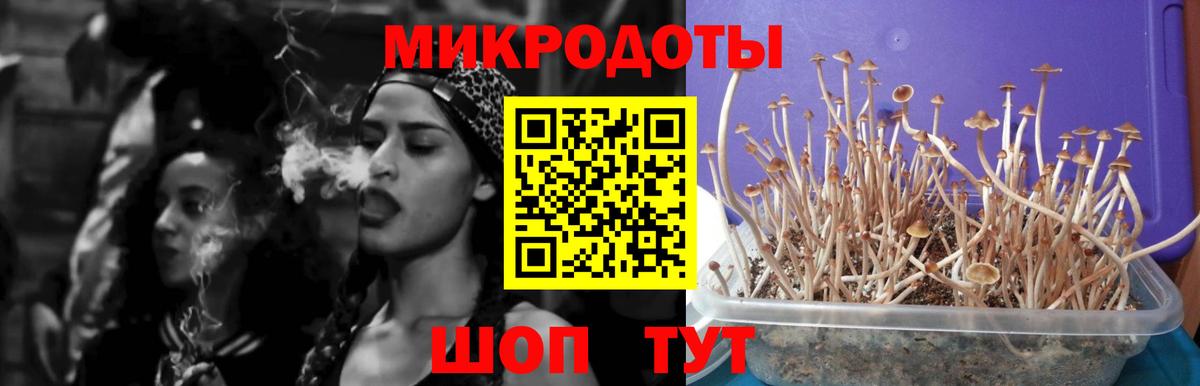 Псилоцибиновые грибы Cubensis Трёхгорный